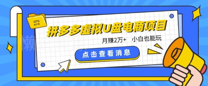 拼多多虚拟U盘电商红利项目:月赚2万+,新手小白也能玩