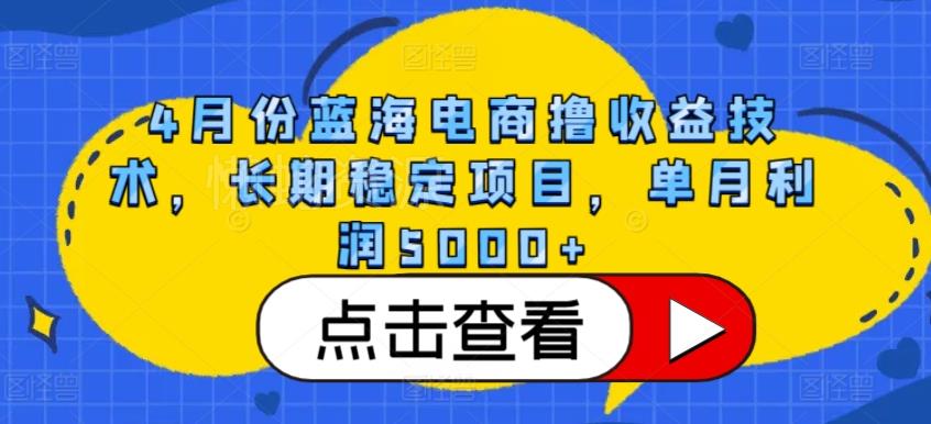 4月份蓝海电商撸收益技术,长期稳定项目,单月利润5000+【揭秘】