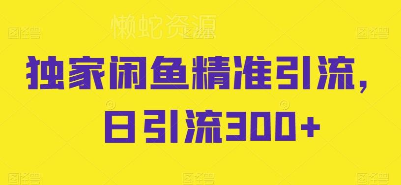 独家闲鱼精准引流，日引流300+【揭秘】