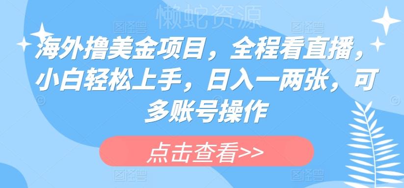 海外撸美金项目,全程看直播,小白轻松上手,日入一两张,可多账号操作【揭秘】