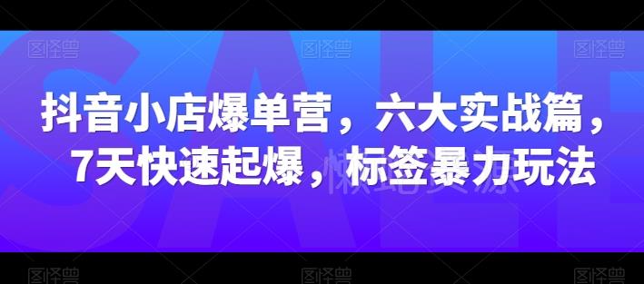 抖音小店爆单营,六大实战篇,7天快速起爆,标签暴力玩法