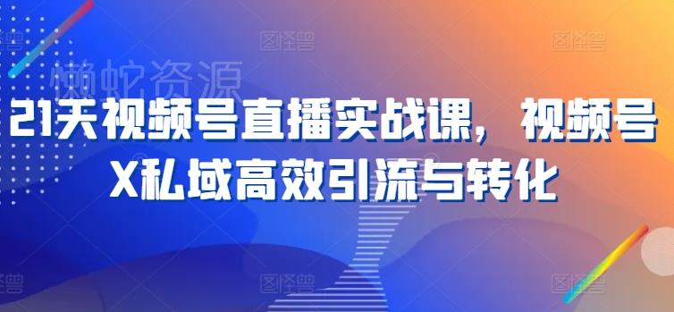 21天视频号直播实战课,视频号X私域高效引流与转化