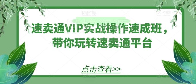 速卖通VIP实战操作速成班,带你玩转速卖通平台