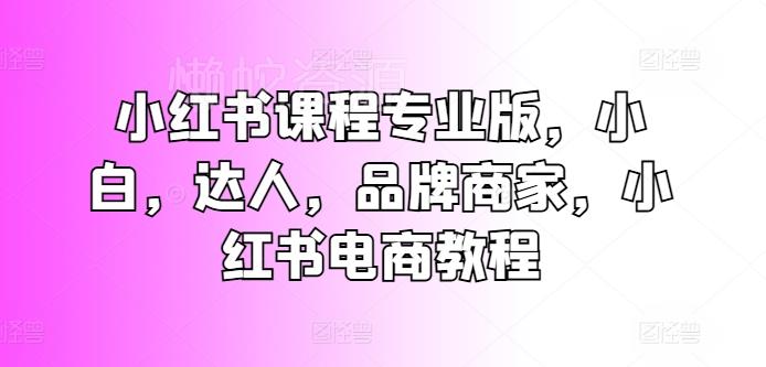 小红书课程专业版,小白,达人,品牌商家,小红书电商教程