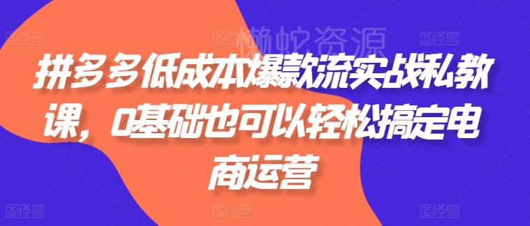 拼多多低成本爆款流实战私教课,0基础也可以轻松搞定电商运营