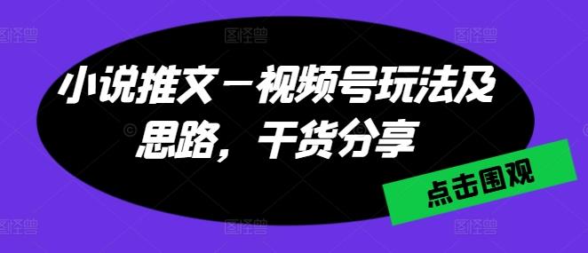 图片[1]-小说推文视频号运营玩法及思路 新手入门实操干货分享