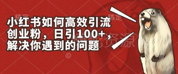 小红书如何高效引流创业粉,日引100+,解决你遇到的问题【揭秘】