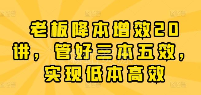 老板降本增效20讲,管好三本五效,实现低本高效