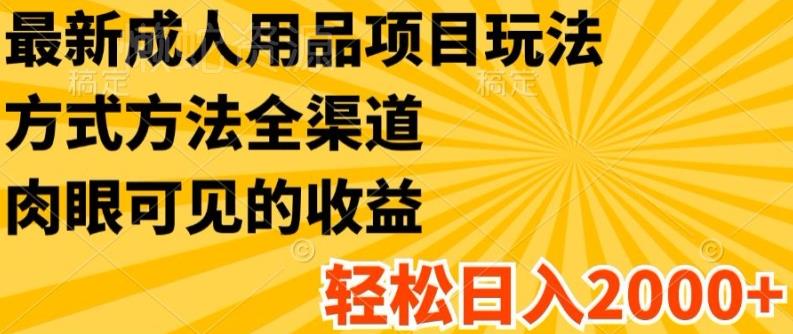 最新成人用品项目玩法，方式方法全渠道，轻松日入2K+【揭秘】