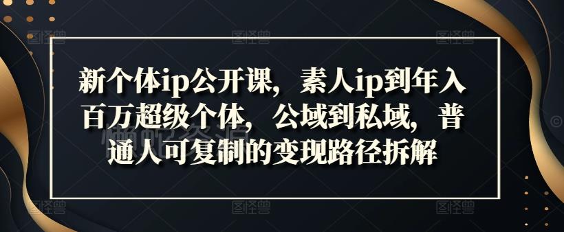 新个体ip公开课，素人ip到年入百万超级个体，公域到私域，普通人可复制的变现路径拆解