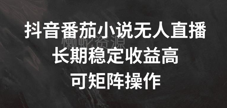 抖音番茄小说无人直播,长期稳定收益高,可矩阵操作【揭秘】