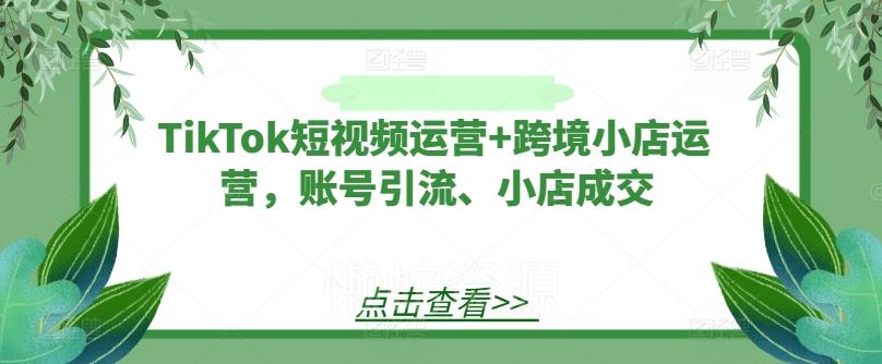 TikTok短视频运营+跨境小店运营,账号引流、小店成交