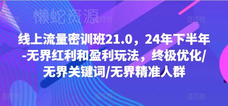 线上流量密训班21.0,24年下半年-无界红利和盈利玩法,终极优化/无界关键词/无界精准人群