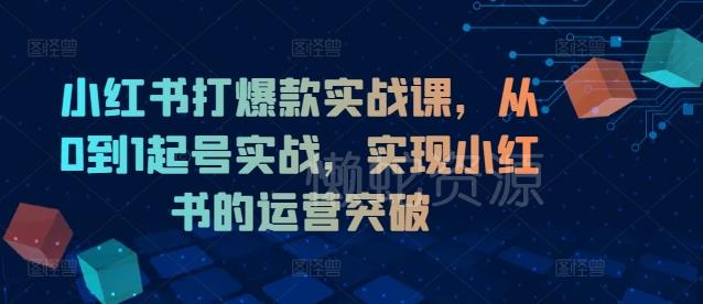 小红书打爆款实战课,从0到1起号实战,实现小红书的运营突破