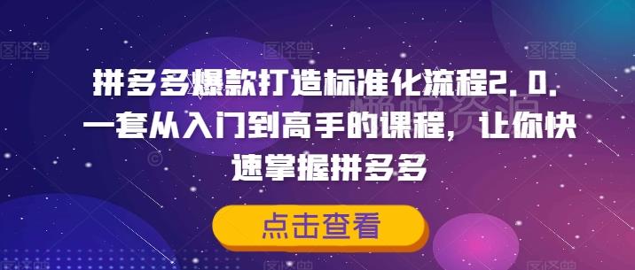 拼多多爆款打造标准化流程2.0,一套从入门到高手的课程,让你快速掌握拼多多