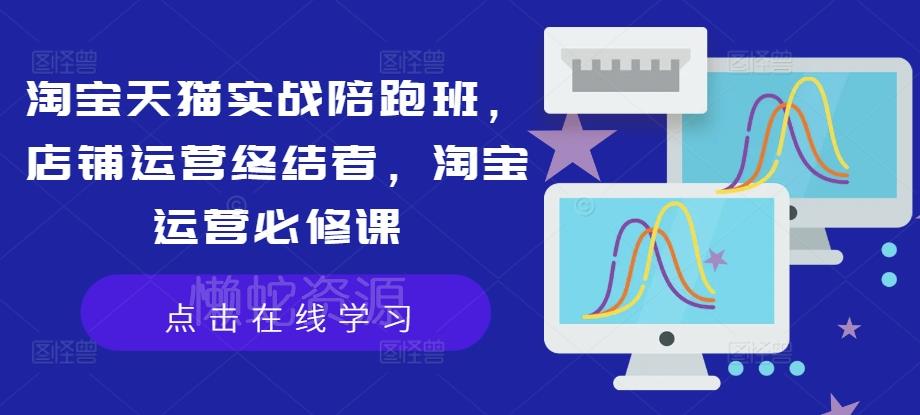 淘宝天猫实战陪跑班，店铺运营终结者，淘宝运营必修课