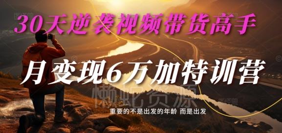 30天逆袭视频带货高手,单月变现6万加特训营-麦子甜