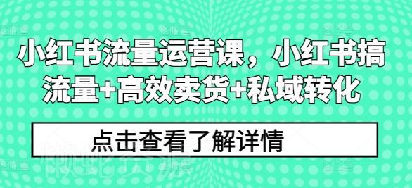 小红书流量运营课,小红书搞流量+高效卖货+私域转化
