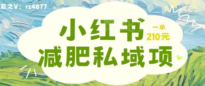 小红书减肥粉,私域变现项目,一单就达210元,小白也能轻松上手【揭秘】