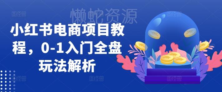 小红书电商项目教程,0-1入门全盘玩法解析
