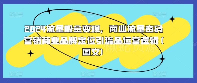 2024流量吸金变现,商业流量密码营销商业品牌定位引流品运营逻辑(图文)