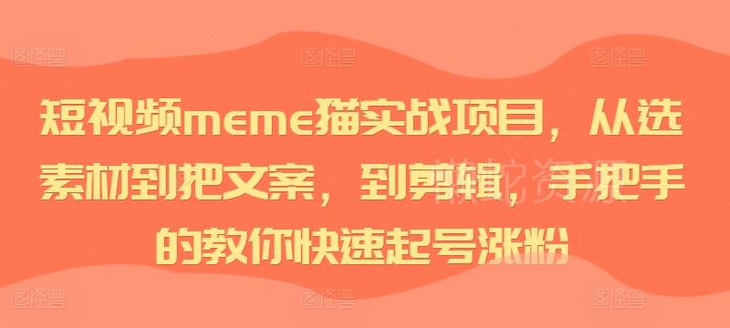 短视频meme猫实战项目,从选素材到把文案,到剪辑,手把手的教你快速起号涨粉