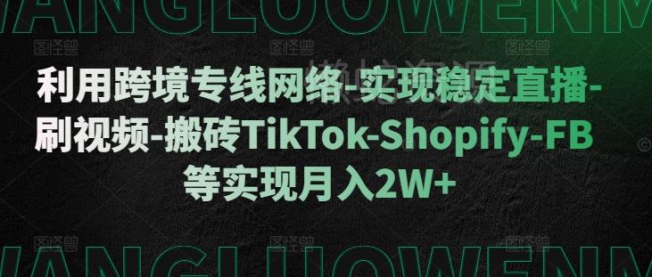 利用跨境专线网络-实现稳定直播-刷视频-搬砖TikTok-Shopify-FB等实现月入2W+【揭秘】