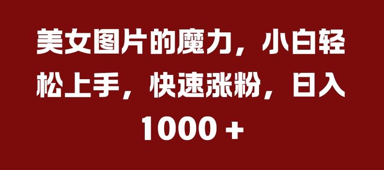 美女图片的魔力,小白轻松上手,快速涨粉,日入几张【揭秘】
