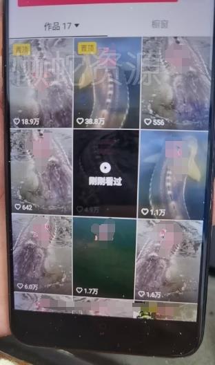外面卖399的国学佛像原创暴力起号技术,快速起号,7天可达到一个万粉号