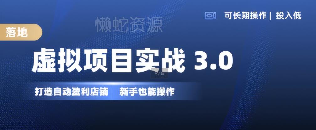 虚拟项目实战3.0，打造自动盈利店铺，可长期操作投入低，新手也能操作