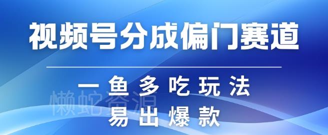 视频号创作者分成计划偏门类目,容易爆流,实拍内容简单易做【揭秘】
