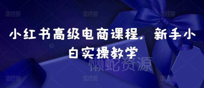 小红书高级电商课程,新手小白实操教学