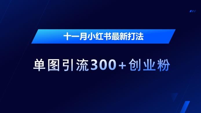 十一月小红书最新打法,单图引流300+创业粉【揭秘】