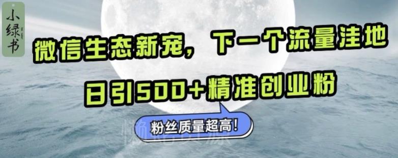 微信生态新宠小绿书：下一个流量洼地，日引500+精准创业粉，粉丝质量超高
