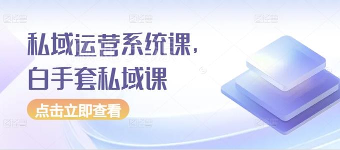 私域运营系统课,白手套私域课