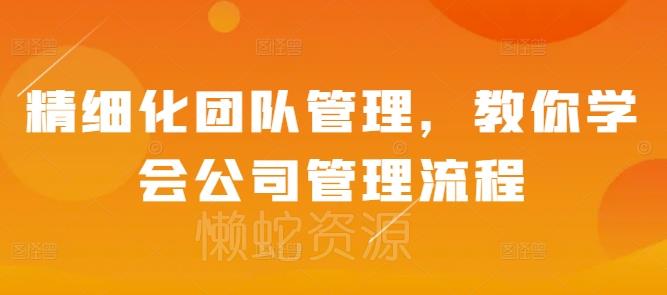 精细化团队管理,教你学会公司管理流程