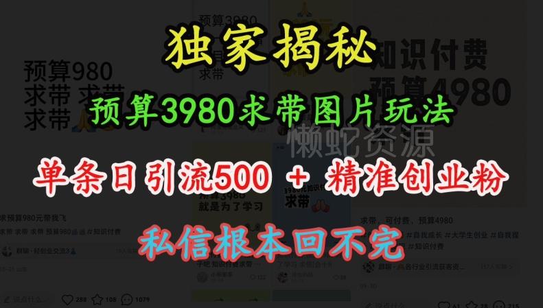 预算3980求带 图片玩法，单条日引流500+精准创业粉，私信根本回不完