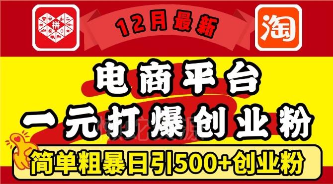 12月最新:电商平台1元打爆创业粉,简单粗暴日引500+精准创业粉,轻松月入过W【揭秘】