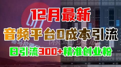 12月最新：音频平台0成本引流，日引流300+精准创业粉