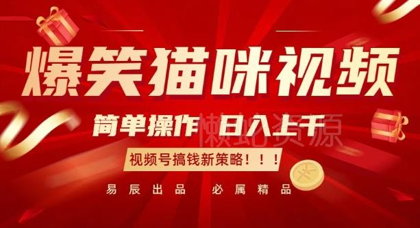 爆笑猫咪视频:简单操作,日入过K,视频号搞钱新策略【揭秘】