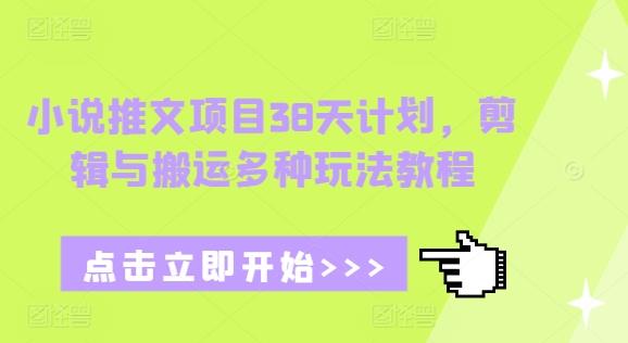 小说推文项目38天计划,剪辑与搬运多种玩法教程