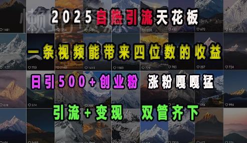 2025自热引流天花板,一条视频能带来四位数的收益,引流+变现双管齐下,日引500+创业粉,涨粉嘎嘎猛