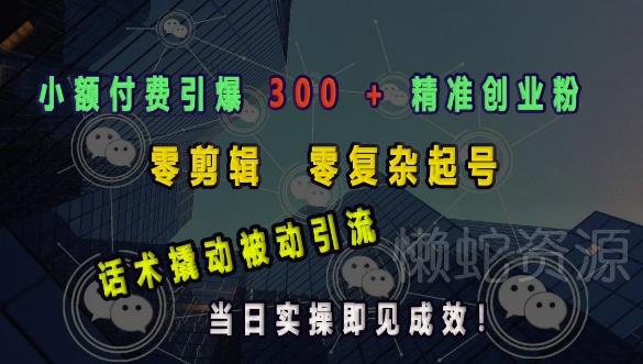 小额付费引爆 300 + 精准创业粉，零剪辑、零复杂起号，话术撬动被动引流，当日实操即见成效