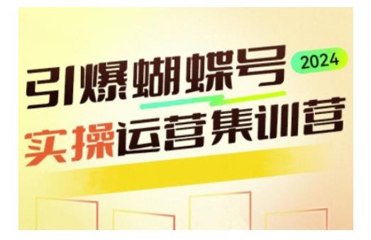 引爆蝴蝶号实操运营,助力你深度掌握蝴蝶号运营,实现高效实操,开启流量变现之路