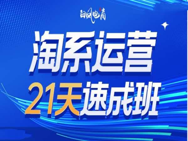 淘系运营21天速成班35期,年前最后一波和2025方向