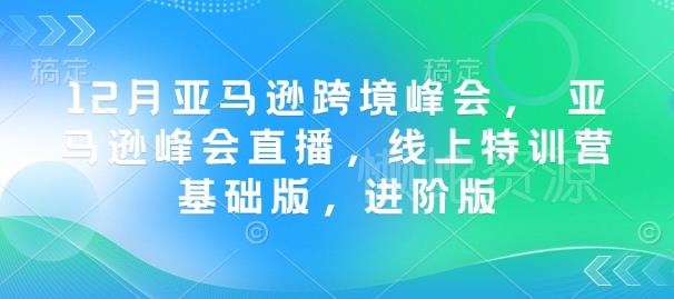12月亚马逊跨境峰会, 亚马逊峰会直播,线上特训营基础版,进阶版