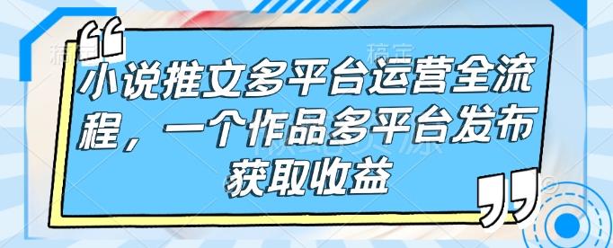 小说推文多平台运营全流程,一个作品多平台发布获取收益