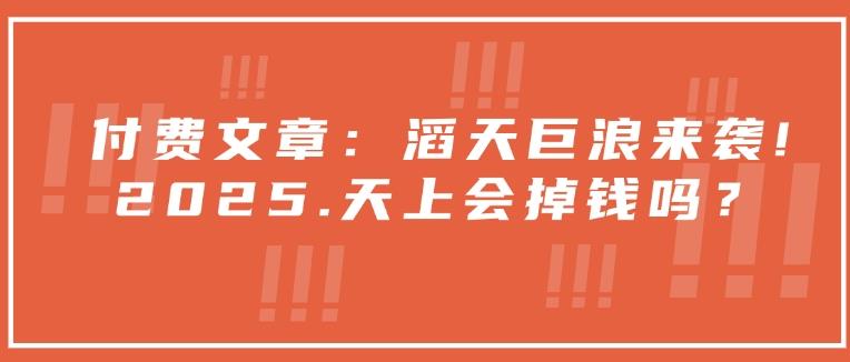 付费文章:滔天巨浪来袭!2025天上会掉钱吗?