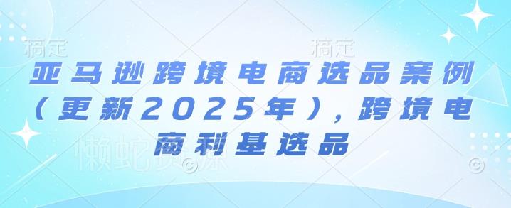 亚马逊跨境电商选品案例(更新2025年2月),跨境电商利基选品