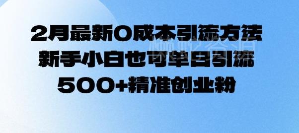 2月最新0成本引流方法,新手小白也可单日引流500+精准创业粉